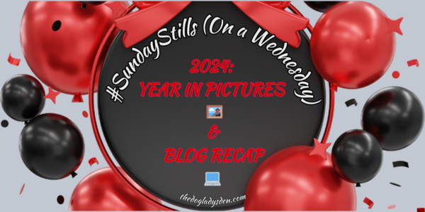 2024: YEAR IN PICTURES 🖼️ #SundayStills #Photography #WordlessWednesday 📷📱 PLUS BLOG RECAP 💻